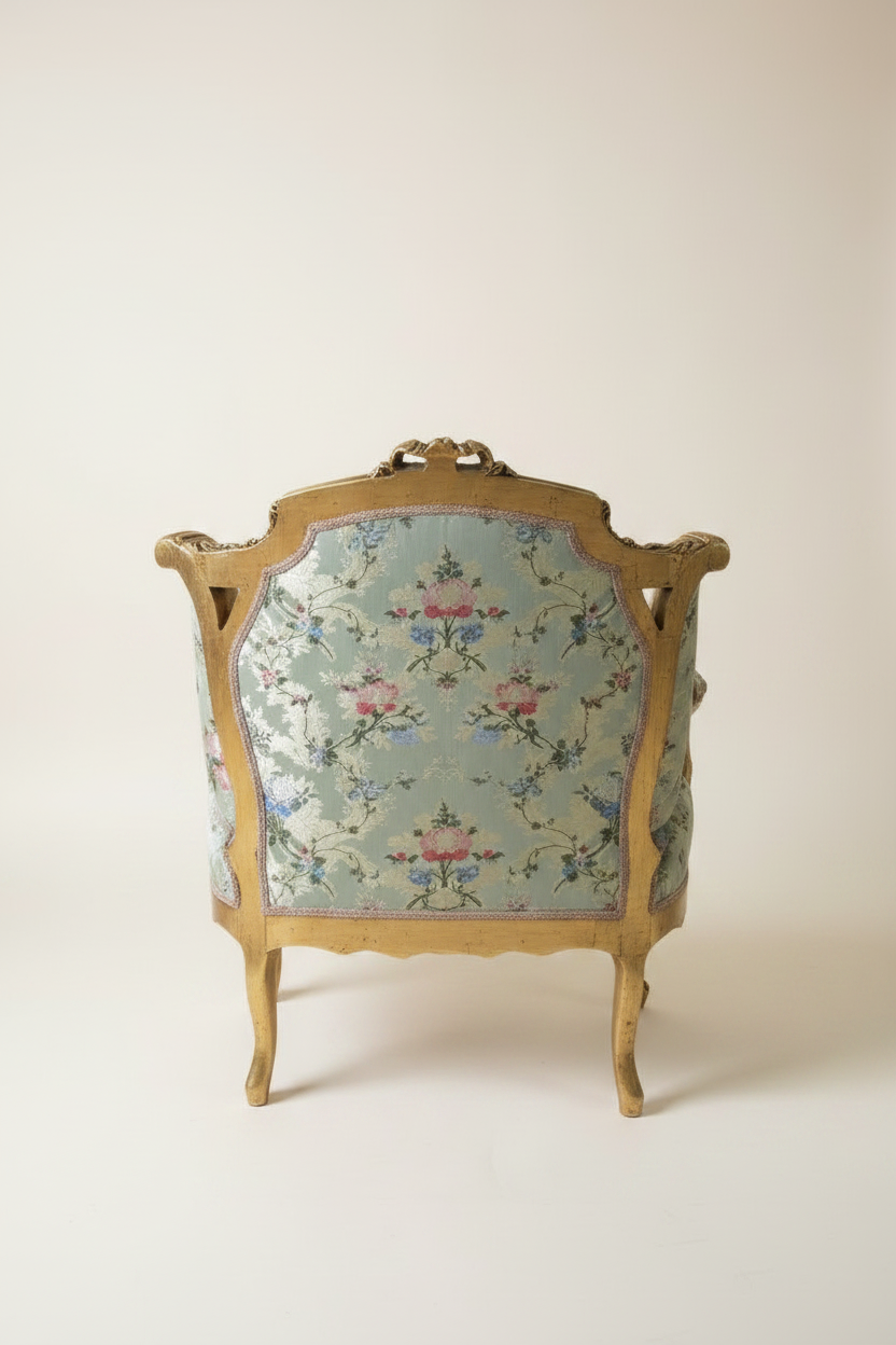 Louis XV Bergère Armchair - Back View